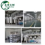 Soybean Polysaccharide Manufacturer - Powder for Low pH Foods