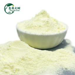 Instant Milk Powder Factory - Bulk Export for Cooking Beverages