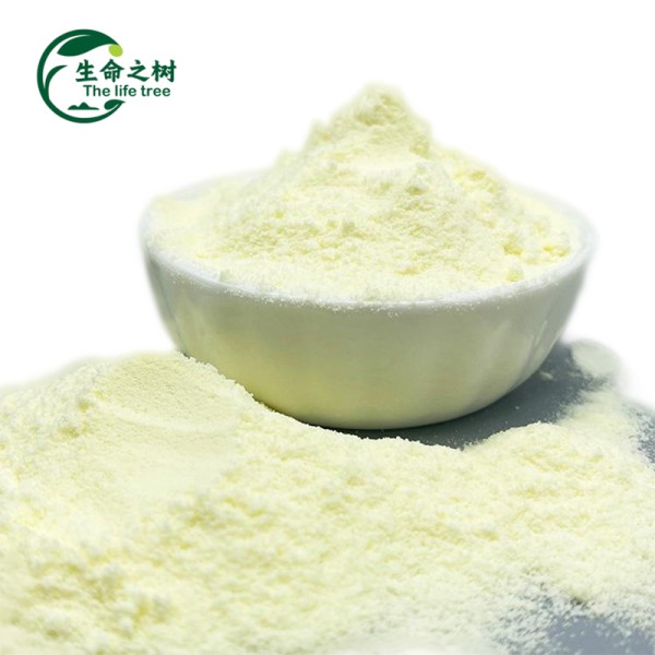 Instant Milk Powder Factory - Bulk Export for Cooking Beverages