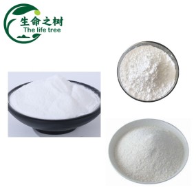 Dicalcium Phosphate Supplier - Mineral Additive Pet Food