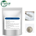 Fruit Powder Supplier - Thickeners Sweeteners Stabilizers Bulk