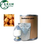 Sesbania Gum Manufacturer - Food Grade Thickening Additives