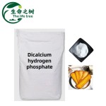 Dicalcium Phosphate Manufacturer - Tablet Filler Health Supplements