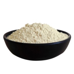 Locust Bean Powder Supplier - Kosher Food Additive Direct