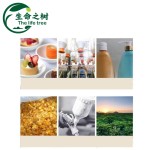 Sodium Polyacrylate Supplier - Food Grade Thickener Seasoning