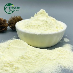 Whole Milk Powder Manufacturer - Bulk Pure Dairy Taste Shelf Life