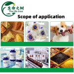 Guar Gum Powder Factory - Food Grade Thickener Stabilizer 25kg