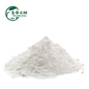 Potato Starch Supplier - Phosphate Ester Modified Powder