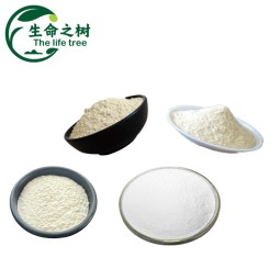 Sesbania Gum Manufacturer - Food Grade Thickening Additives