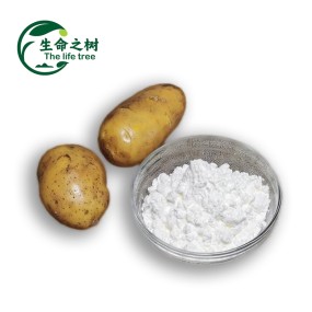 Potato Starch Factory - Organic Powder Bulk Bag Packaging