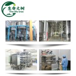 Wet Starch Preservative Factory - Rice Products Antiseptic