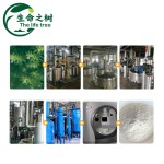 Soybean Polysaccharide Manufacturer - Powder for Low pH Foods