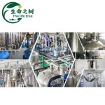 Dicalcium Phosphate Manufacturer - Nutritional Fortifier Ingredients