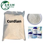 Curdlan Gum Factory - Food Grade Thickening Gel Natural