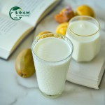 Milk Powder Manufacturer - Full Cream Skimmed Bulk 25kg Packing