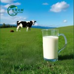 Skimmed Milk Powder Supplier - Non-fat Dairy Powder High Quality