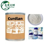 Curdlan Gum Factory - Food Grade Thickening Gel Natural