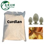Curdlan Gum Factory - Food Grade Thickening Gel Natural