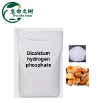 Dicalcium Phosphate Manufacturer - Tablet Filler Health Supplements