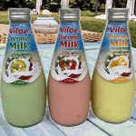 Viloe品牌菠萝风味浓缩椰奶健康饮料，每瓶290毫升。越南制造的饮料