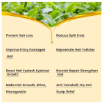 Hair Growth Serum Factory - Custom 60ml Glass Bottle Organic Essential Oils