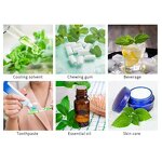 Menthol Crystal Manufacturer - Food Cosmetic Grade High Pure L-menthol