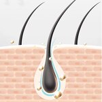 Cocamide DEA Factory - CDEA 6501 Thickener Shampoo Hair Chemical