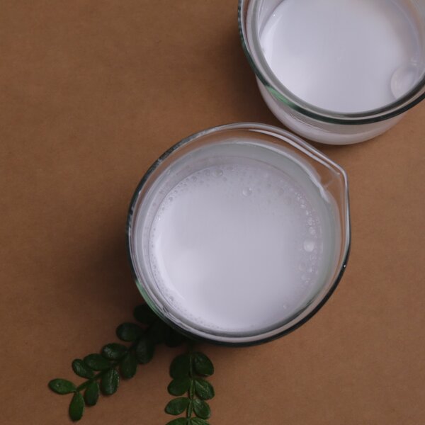 Acrylates Copolymer Manufacturer - SA3/SF-1 Suspending Agent Thickener