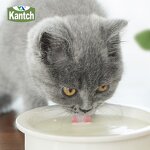 Goat Milk Powder for Pets Manufacturer - Wholesale OEM Senior Cat & Dog Supplement