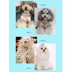 Cat Shampoo Manufacturer - Private Label Natural Wash Deodorant Fragrant Fur