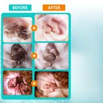 Pet Herbal Ear Cleaner Drops Manufacturer - Natural for Itchy Stinky Dog Cat Ears
