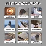 Racing Pigeon Vitamins Supplement Manufacturer - OEM Immune & Fatigue Resistance