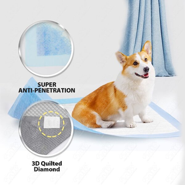 Dog Training Pad Manufacturer - Customized Disposable Skin Friendly Pee Pads