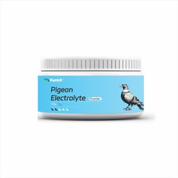 Pigeon Electrolyte Powder Manufacturer - Boost Energy & Improve Metabolism