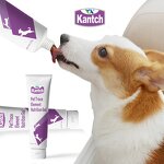 Pet Nutritional Supplement Cream Manufacturer - Factory Customized with Trace Elements