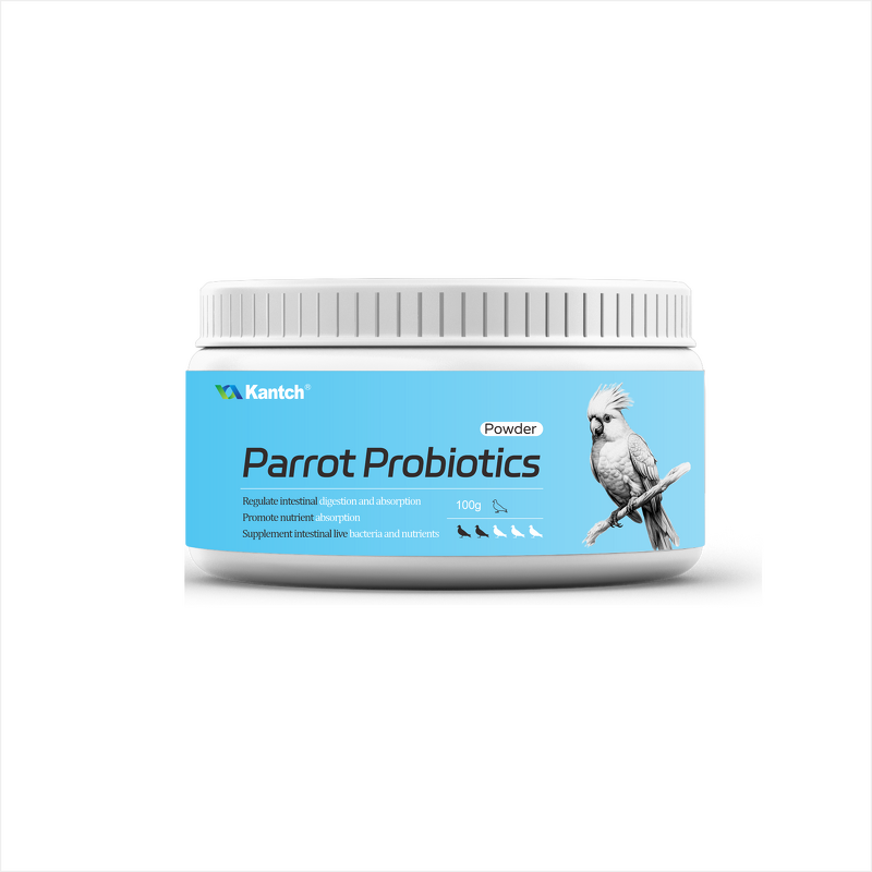 Racing Pigeon Probiotics Manufacturer - Boost Energy & Repair Intestinal Health