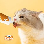 Cat Food Vitamin Gel Manufacturer - Private Label Wholesale 125g Nutritional Snack