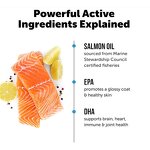 Salmon Oil Capsule for Cats Manufacturer - Omega-3 Immune System Support