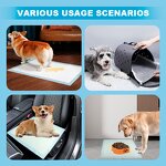 Dog Training Pad Manufacturer - Customized Disposable Skin Friendly Pee Pads