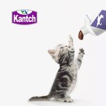 Dog Cat Vitamins Gel Manufacturer - Private Label 125g Hairball Solution