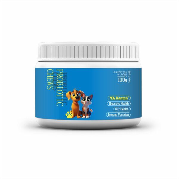 Probiotic Soft Chews for Cats Manufacturer - Customized Digestive & Immune Support