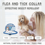 Dog Collar Manufacturer - Custom Multicolor Silicone Waterproof Luminous