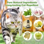 Cat Repellent Ball Factory - Wholesale High Quality Natural Ingredient