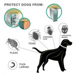 Flea & Tick Collar Supplier - Adjustable Natural Lasting Outdoor Protection