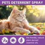 Cat Deterrent Spray Factory - Natural Repellent for Furniture Safe Indoor