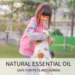 Pet Calming Collar Manufacturer - Safe Anti Anxiety Lavender Oil Calm Collar