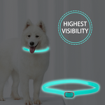 Pet Collar Factory - Luminous Anti-bug Waterproof Flea Tick Collar