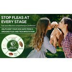 Flea & Tick Collar Supplier - Factory Direct 4 Pc Pack Soft Fashion