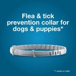 Flea & Tick Collar Manufacturer - Adjustable Natural Collar for Cats
