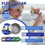 Flea & Tick Collar Manufacturer - 2024 High Quality 8 Month One Size